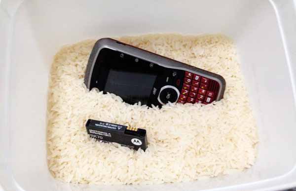 Seu Celular caiu na Água? Siga estas Dicas para Recuperá-lo