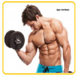 Gym Workouts